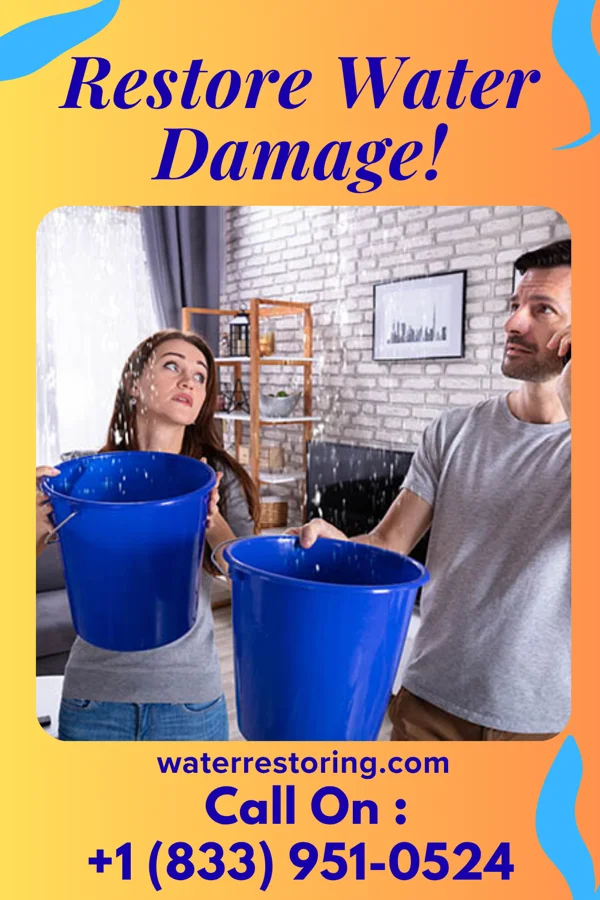 water restoration National Disaster Cleanup Company Georgiana