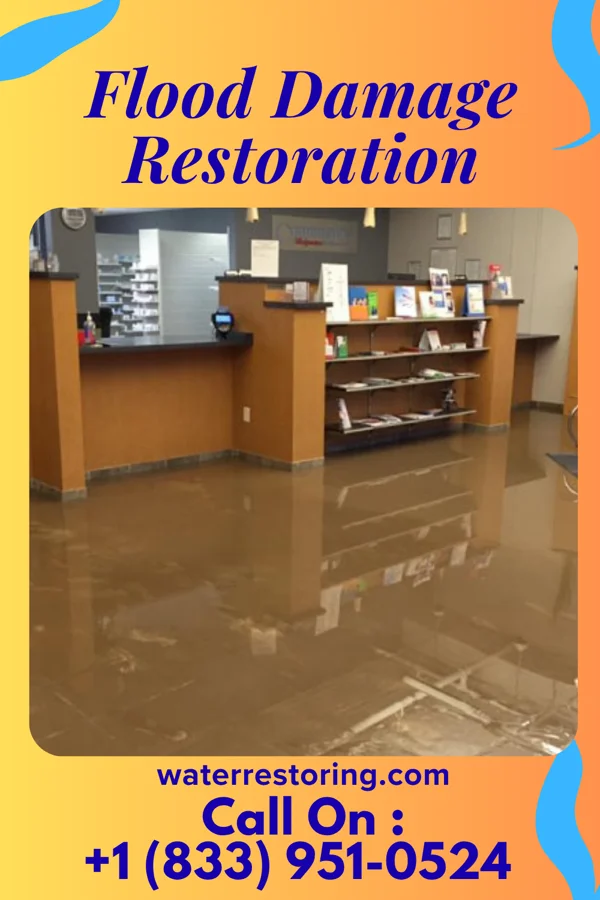 Flood Damage Restoration in Georgiana, AL