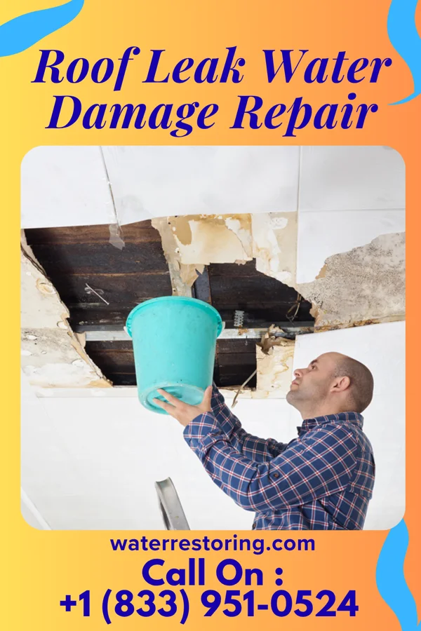 Roof Leak Water Damage Repair in Georgiana, AL